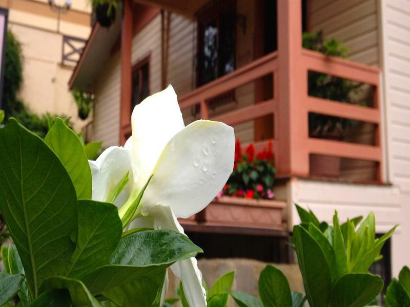 Pousada Jasmim Gramado Dış mekan fotoğraf